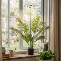 Grow light illuminating a lush potted plant on a home windowsill