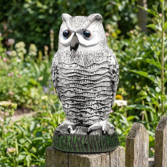 Realistic owl decoy bird repeller perched outdoors on a fence post