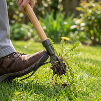 Standing weed puller removing a weed from a lawn