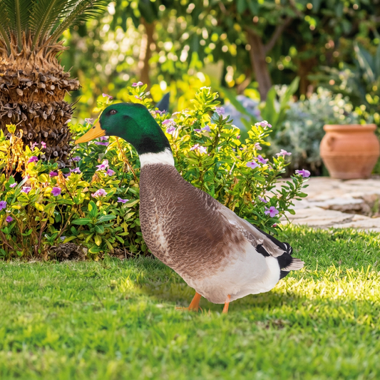 Outdoor duck decoration displayed on a garden lawn