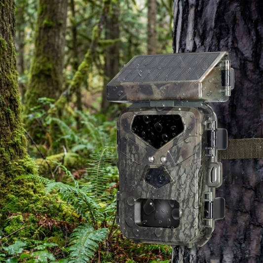 Solar trail camera mounted on a tree trunk in a forest