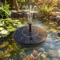Solar fountain pump powering a garden pond fountain
